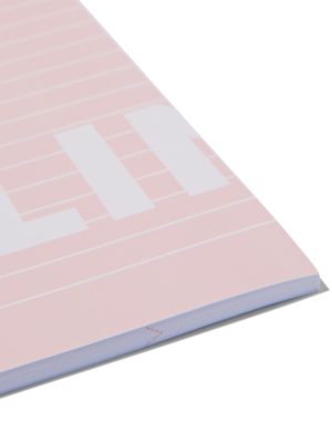 HEMA Schriften Roze A4 Gelinieerd - 3 Stuks