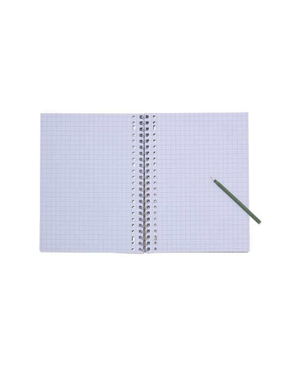 HEMA Collegebloks A4 Geruit 10 Mm - 3 Stuks