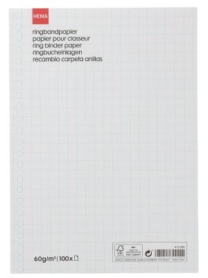 HEMA Ringbandpapier Geruit 10x10mm - 100 Stuks