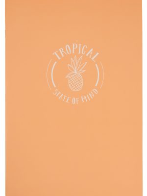 HEMA Schriften A4 Gelinieerd - 2 Stuks