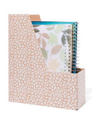 HEMA Tijdschriftencassettes 33.5x10.5x28 Karton Opvouwbaar - 2 Stuks