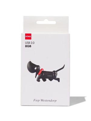 HEMA USB Stick 2.0 8GB Takkie