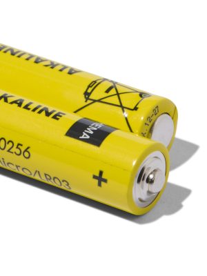 HEMA AAA Alkaline Batterijen - 10 Stuks
