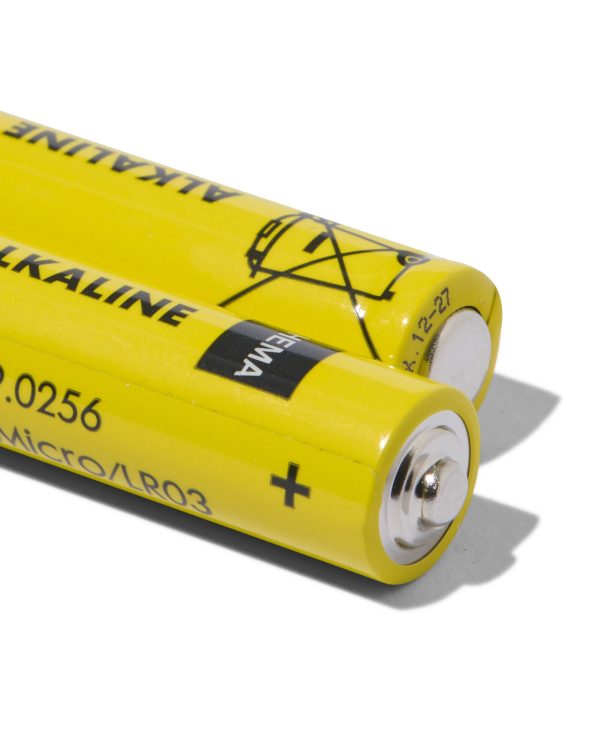 HEMA AAA Alkaline Batterijen - 10 Stuks