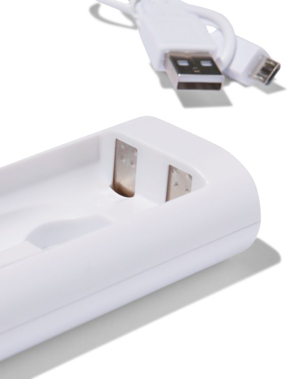 HEMA USB Batterijlader Voor AA Of AAA Batterijen