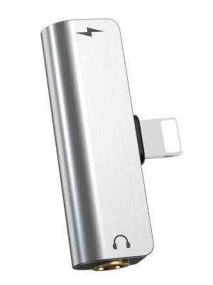 Hoco Lightning naar 3,5mm jack (Aux) converter