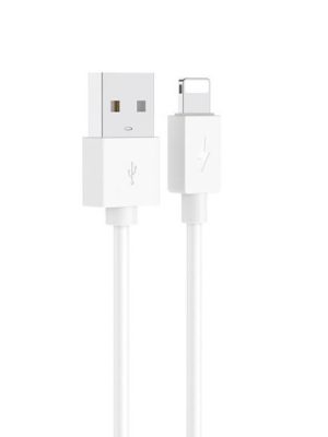 Hoco Lightning Kabel voor opladen en dataoverdracht - 2 meter