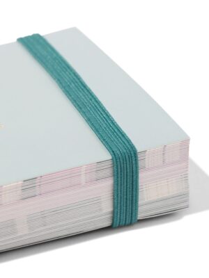 HEMA HEMA Flashcards Met Ring En Elastiek (groen)
