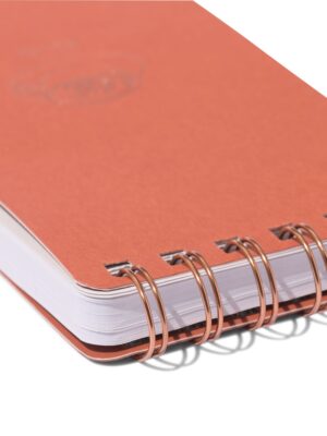 HEMA HEMA To Do Lijst 8.5x20cm Gelinieerd Oranje (oranje)