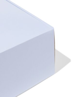 HEMA HEMA Verzenddozen 30.5x21.5x11cm Karton Lichtblauw - 3 Stuks