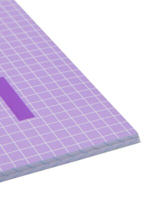 HEMA HEMA Schriften Lila A5 Geruit 5mm - 3 Stuks (lila)