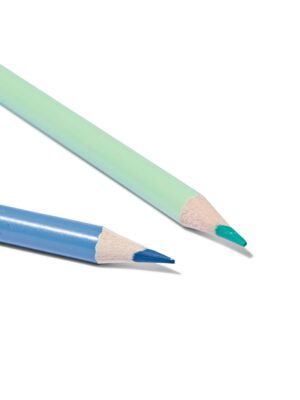 HEMA HEMA Kleurpotloden Pastel - 12 Stuks