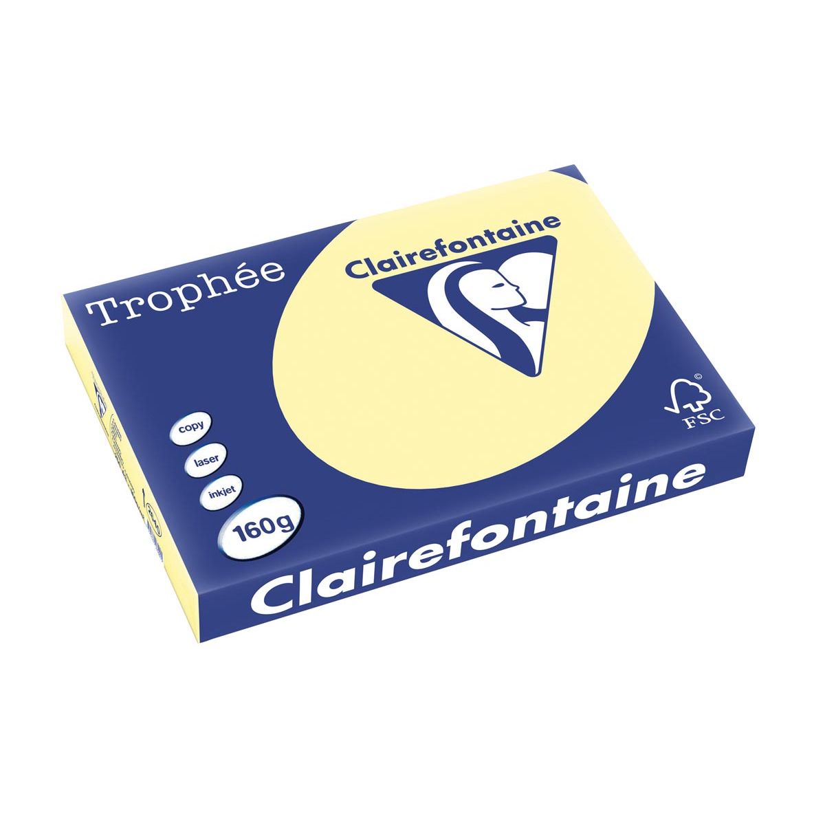 Clairefontaine Trophée Pastel, gekleurd papier, A3, 160 g, 250 vel, kanariegeel 1 Clairefontaine Trophée Pastel, gekleurd papier, A3, 160 g, 250 vel, kanariegeel
