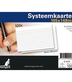Systeemkaarten a6 105x148mm 100 stuks