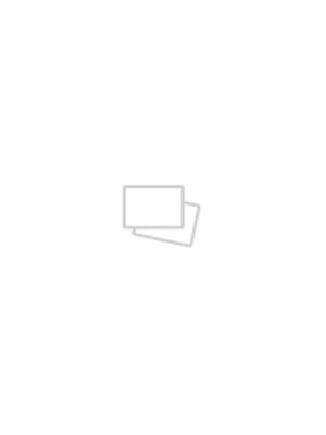 HEMA HEMA Ringbandpapier A4 Gelinieerd 23rings - 100 Stuks